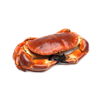ปู