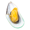 หอย