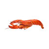 กุ้ง